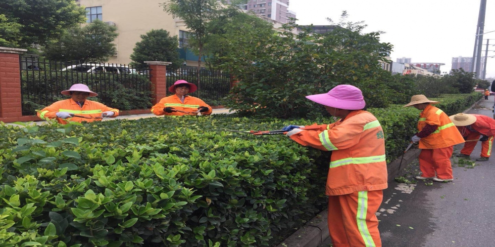 新站區(qū)道路清掃保潔、綠化管養(yǎng)項(xiàng)目