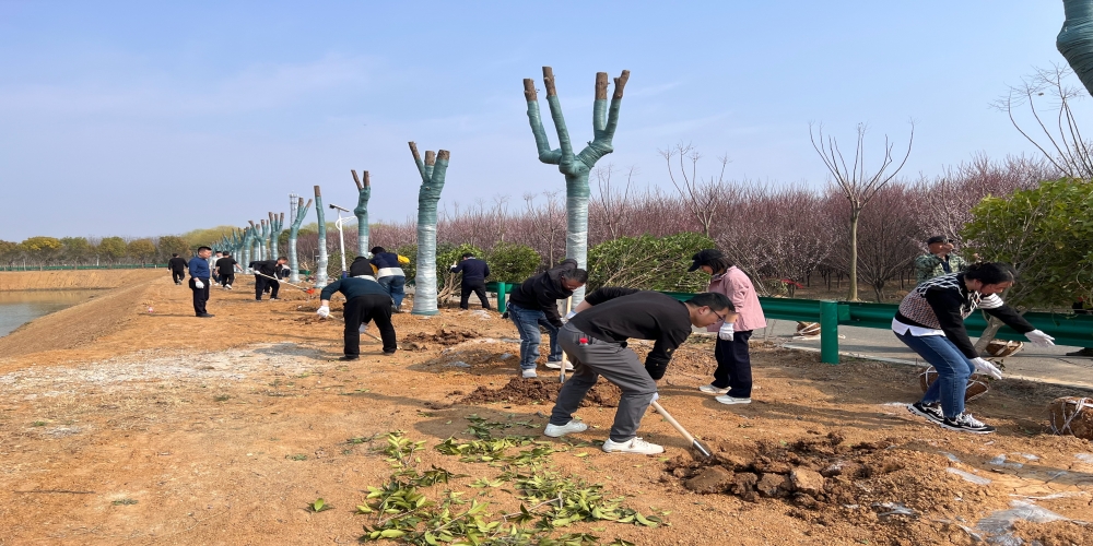 黨建引領(lǐng)共植綠 凝心聚力譜新篇 ——和合生態(tài)、德嘉置業(yè)黨支部赴小廟基地義務(wù)植樹(shù)